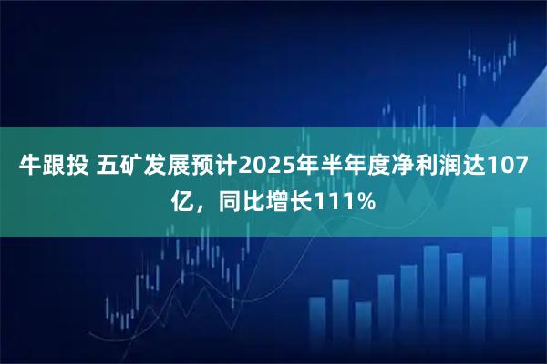 牛跟投 五矿发展预计2025年半年度净利润达107亿，同比增长111%