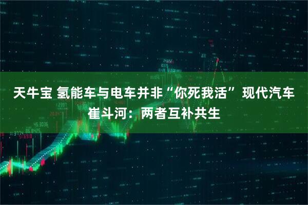 天牛宝 氢能车与电车并非“你死我活” 现代汽车崔斗河：两者互补共生